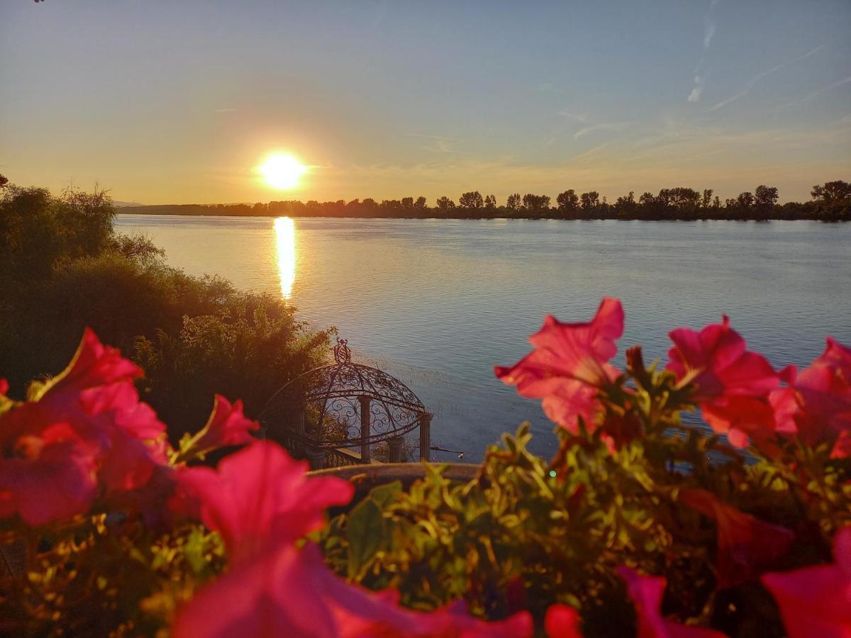 Vila Jugovo S Smederevo Zewnętrze zdjęcie